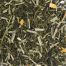 Green Lemon Sencha