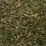 Marocco mint (le touareg)
