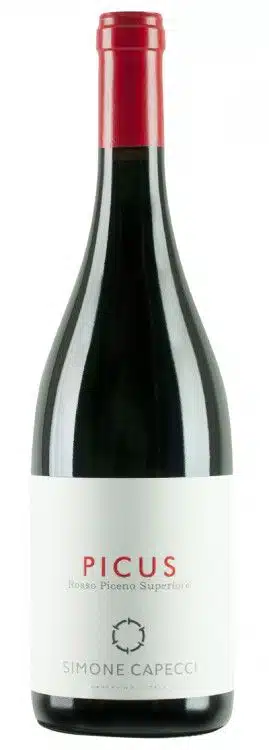 Simone Capecci Picus Rosso Piceno