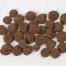 Pecan truffels