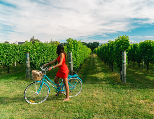 Wandel- of Fiets tocht zomer