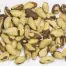 Paranoten of Brasil Nuts rauw