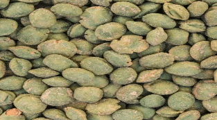 Wasabi Peanuts