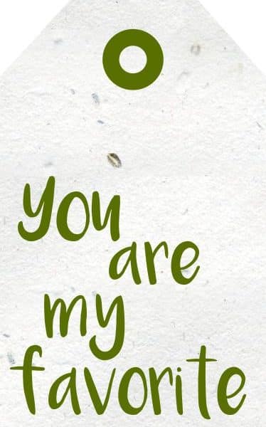 Wenskaartje you are my favorite