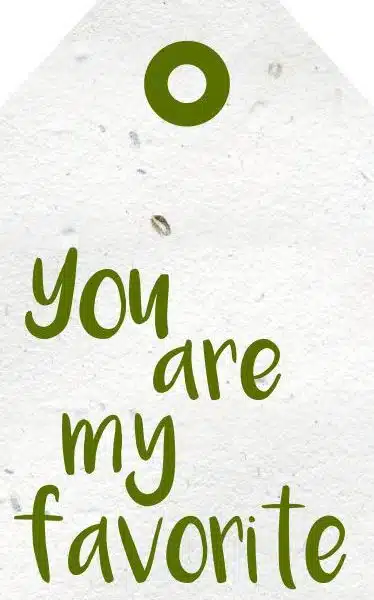 Wenskaartje you are my favorite